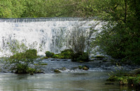 _DSC3855 af