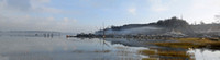 DSC_0528_mist_2016_12_28